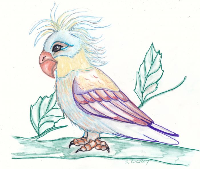 Rainbow Bird by Sally Gilroy